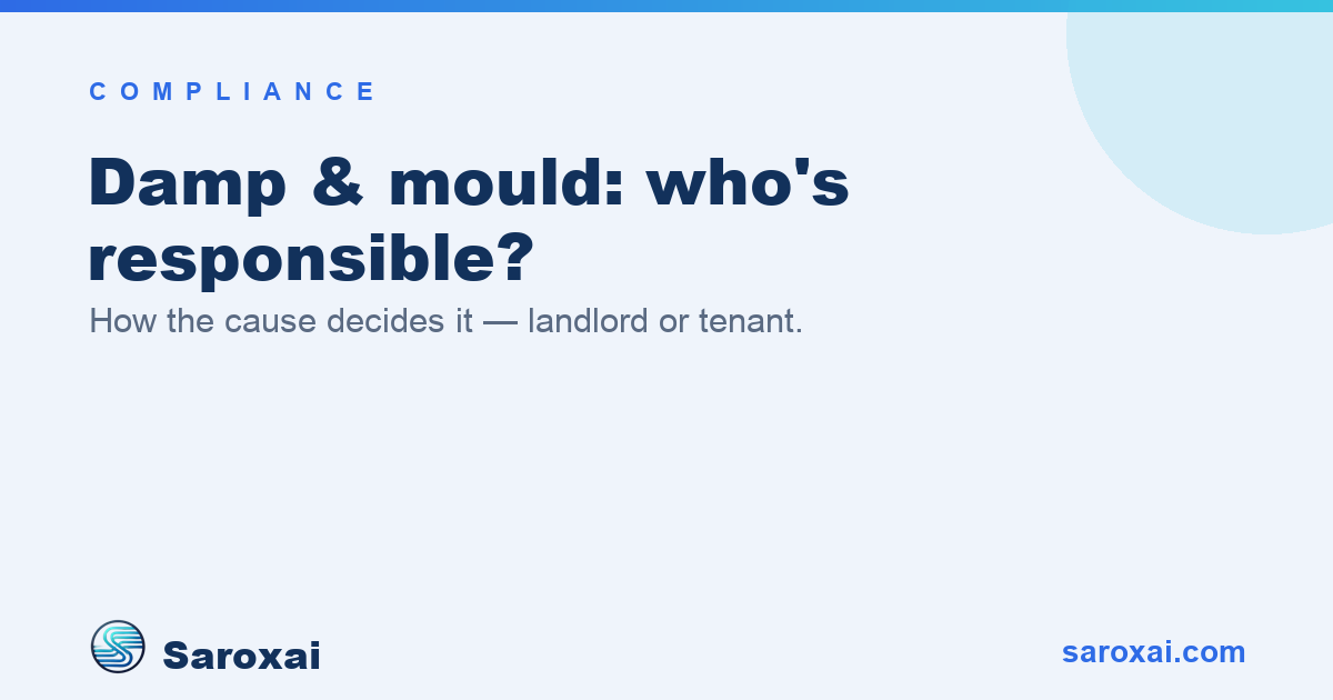 Damp and mould responsibility guide